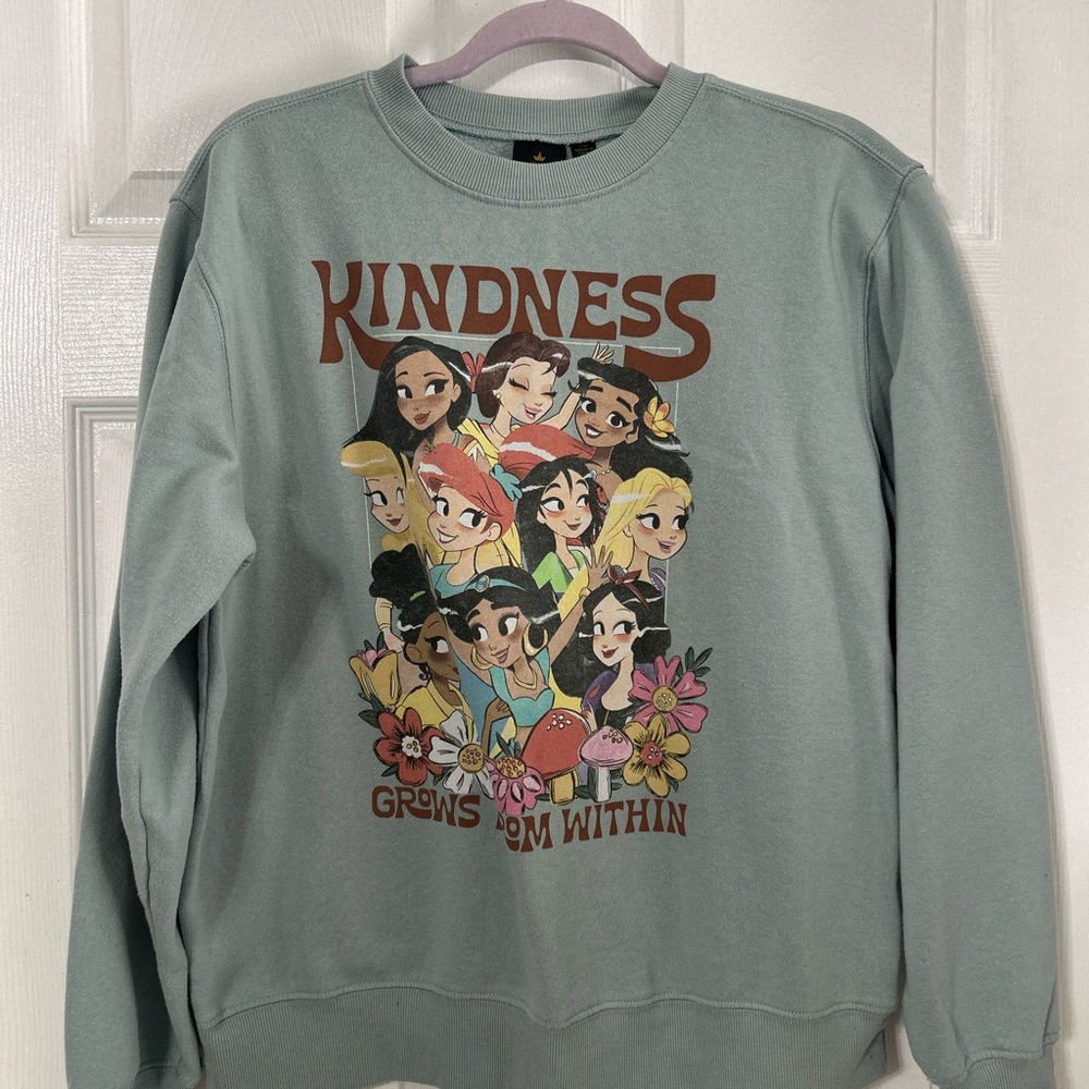 Disney Princess Green and Brown Sweatshirt